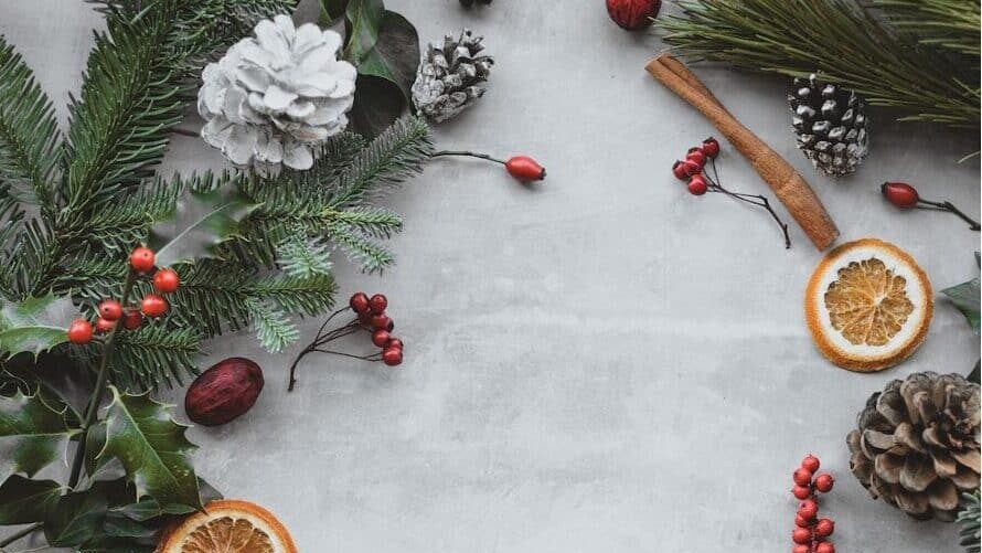 decoration noel zero dechet, decoration de noel avec fruits seches pomme de pin et sapin