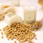 cire soja 1kg